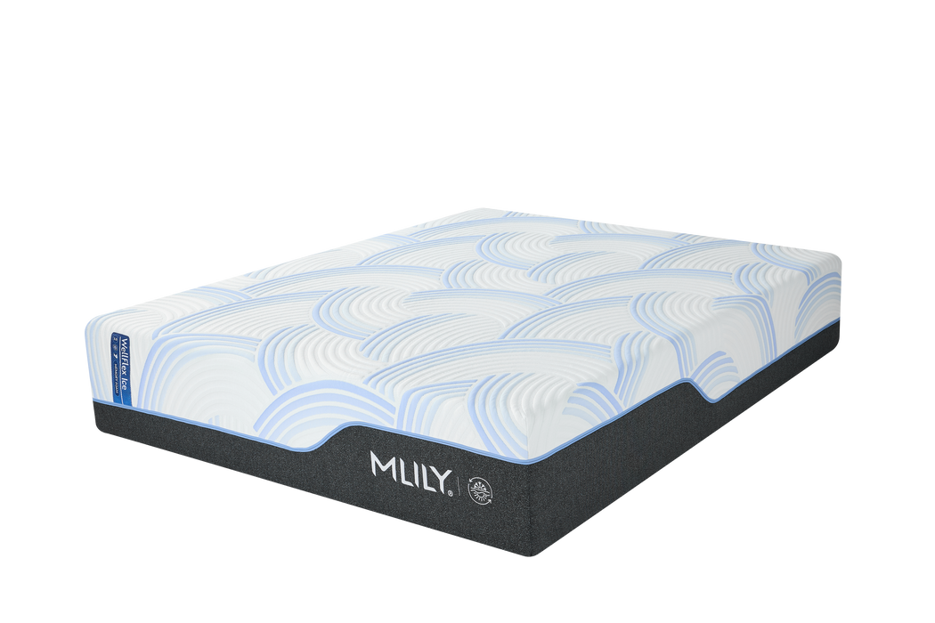 Hills Mattress & More WellFlex Ice Plusher Bedroom Furniture - Installation View