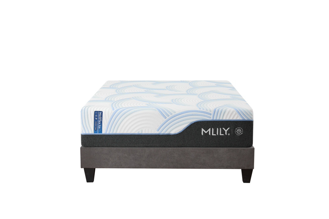 Hills Mattress & More WellFlex Ice Plusher Bedroom Furniture - Lifestyle View