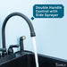 Utility Sink Tehila Black Finish Gooseneck Faucet with Side Sprayer - Close-Up