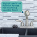 Utility Sink Tehila Stainless Steel Finish Pull-Out Faucet - Close-Up