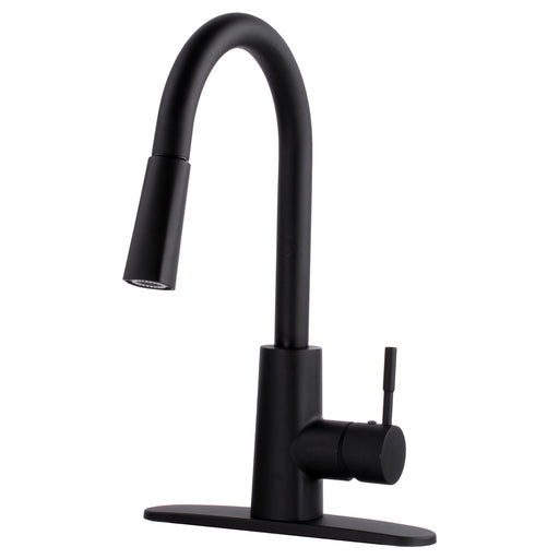 Utility Sink Tehila Black Finish High-Arc Pull-Down Faucet