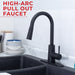 Utility Sink Tehila Black Finish High-Arc Pull-Down Faucet - Close-Up