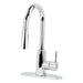 Utility Sink Tehila Chrome Finish High-Arc Pull-Down Faucet