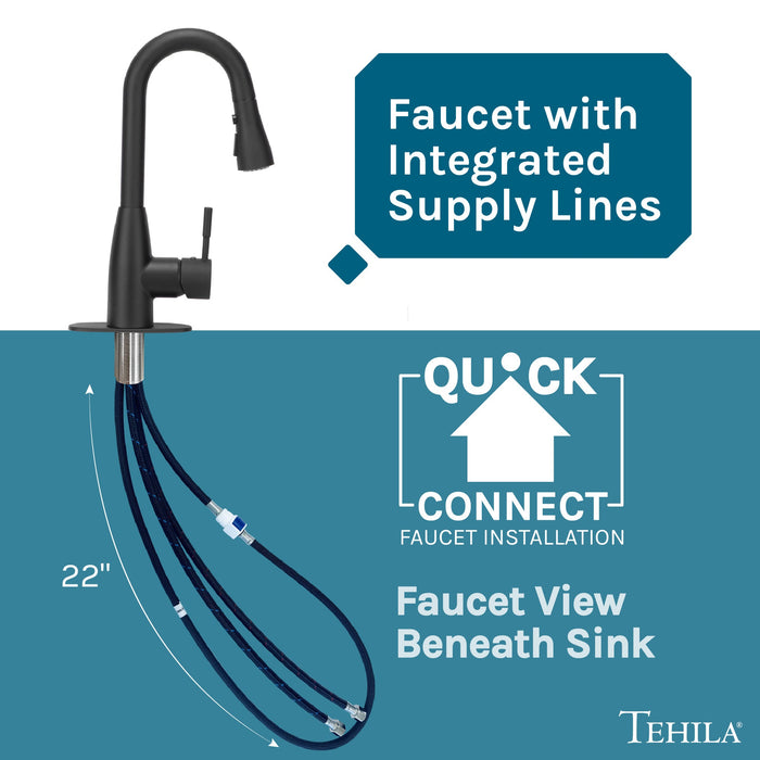 Utility Sink Tehila Black Finish Low Profile Pull-Down Faucet - View 10