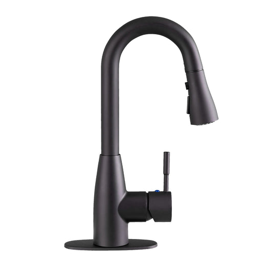 Utility Sink Tehila Black Finish Low Profile Pull-Down Faucet