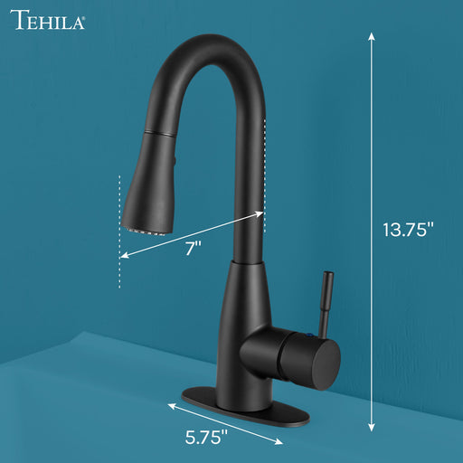 Utility Sink Tehila Black Finish Low Profile Pull-Down Faucet - Side View