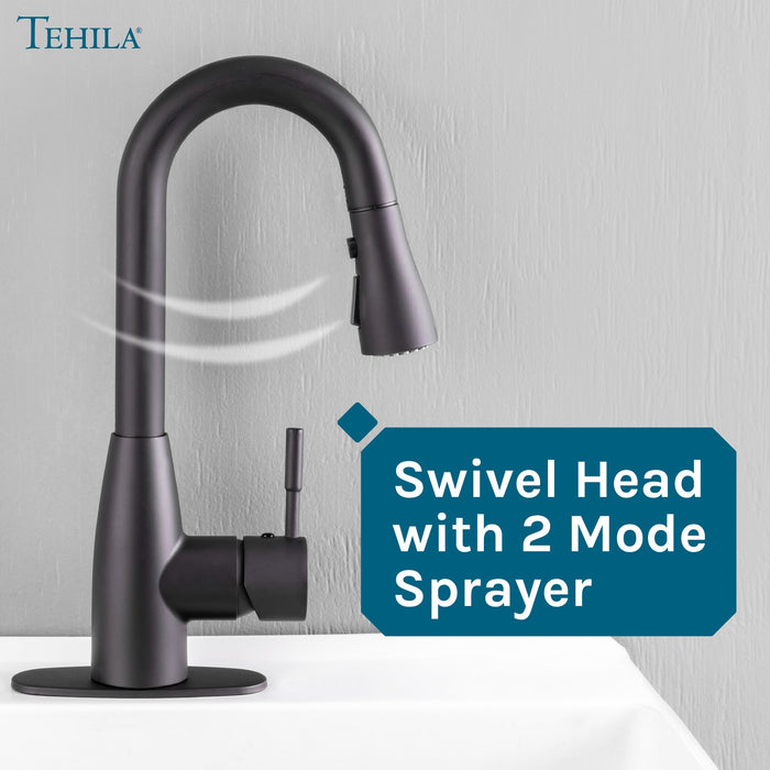 Utility Sink Tehila Black Finish Low Profile Pull-Down Faucet - Close-Up