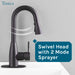Utility Sink Tehila Black Finish Low Profile Pull-Down Faucet - Close-Up