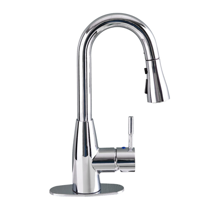 Utility Sink Tehila Chrome Finish Low Profile Pull-Down Faucet