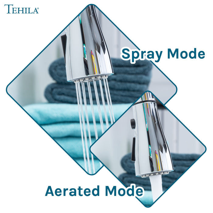 Utility Sink Tehila Chrome Finish Low Profile Pull-Down Faucet - Features