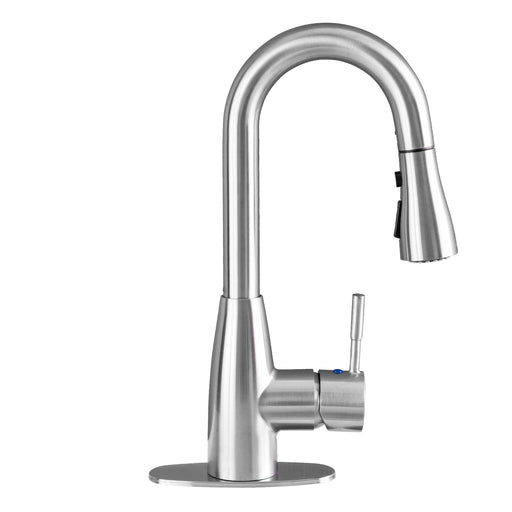 Utility Sink Tehila Stainless Steel Finish Low Profile Pull-Down Faucet