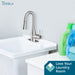Utility Sink Tehila Stainless Steel Finish Low Profile Pull-Down Faucet - Detail View