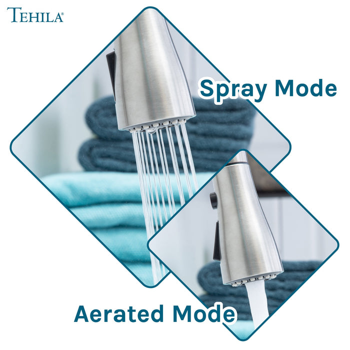 Utility Sink Tehila Stainless Steel Finish Low Profile Pull-Down Faucet - Features