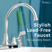 Utility Sink Tehila Chrome Finish Wide-set Gooseneck Faucet with Side Sprayer - Close-Up