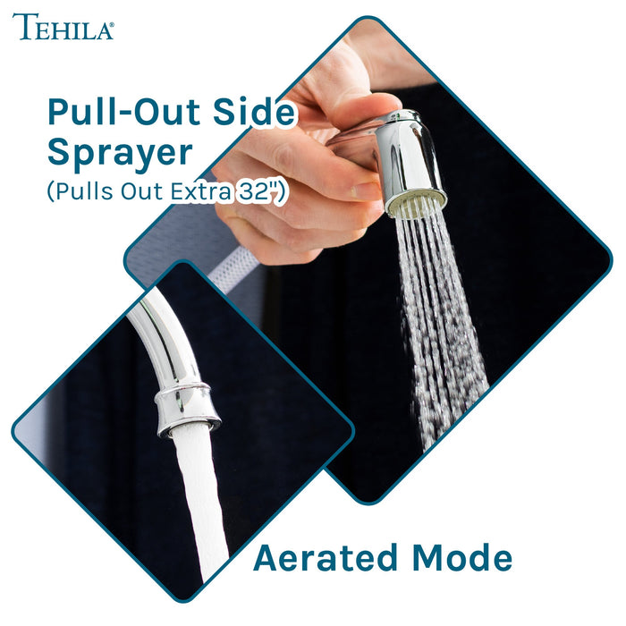 Utility Sink Tehila Chrome Finish Wide-set Gooseneck Faucet with Side Sprayer - Features