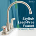 Utility Sink Tehila Stainless Steel Finish Wide-set Gooseneck Faucet with Side Sprayer - Close-Up