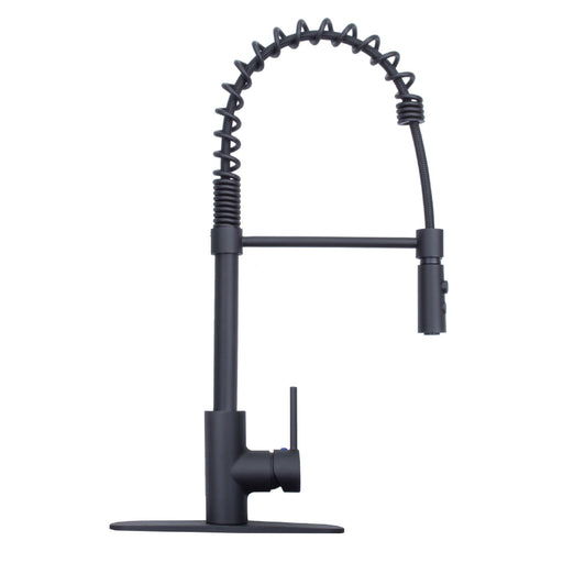 Utility Sink Tehila Black Finish High Arc Coil Pull-Down Faucet