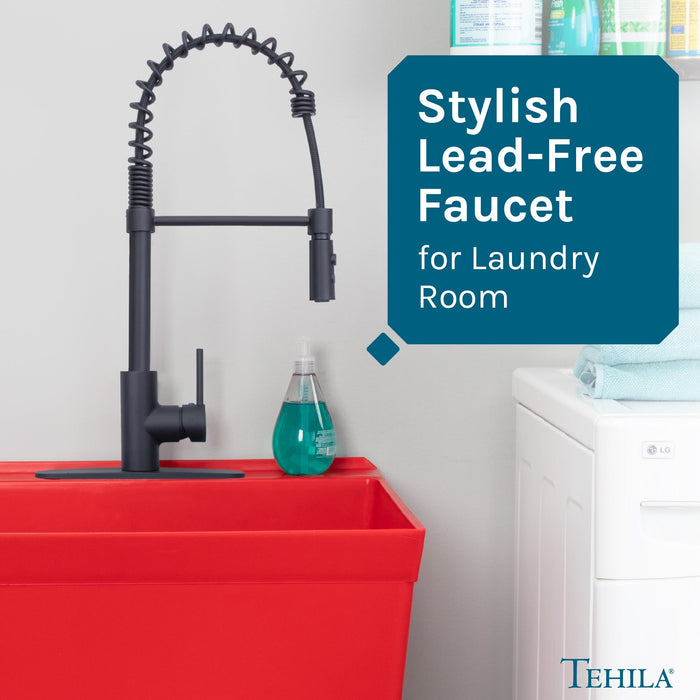 Utility Sink Tehila Black Finish High Arc Coil Pull-Down Faucet - Features