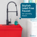 Utility Sink Tehila Black Finish High Arc Coil Pull-Down Faucet - Features