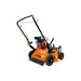 BravePro Power Rake Dethatcher, 20 in. Width – GX160