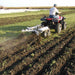 GREYWOLF Till-N-Claw Chisel Plow & Cultivator, 43-In. Wide – GWG311026