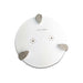 WerkMaster 5-in. Teardrop 3 Segment, 70/80G – 458-002152800