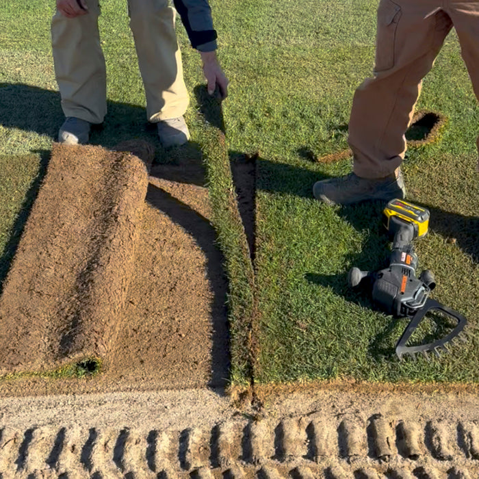 Arbortech AllSaw Cordless Landscaping Wood and Turf Kit, Powered by DEWALT 60V – ALL.FG.200KITWT.20