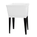 Tehila Standard Freestanding White Utility Sink with Black Legs, Water Supply Lines Included