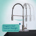 Tehila Standard Freestanding Black Utility Sink with Stainless Steel Finish High-Arc Coil Pull-Down Faucet - Close-Up