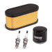 Champion 100373 12.5kW Maintenance kit (SN before 17NOV0201147 / 14kW SN before 17JUL0500541)
