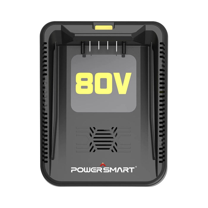 PowerSmart 80V Charger DB2208