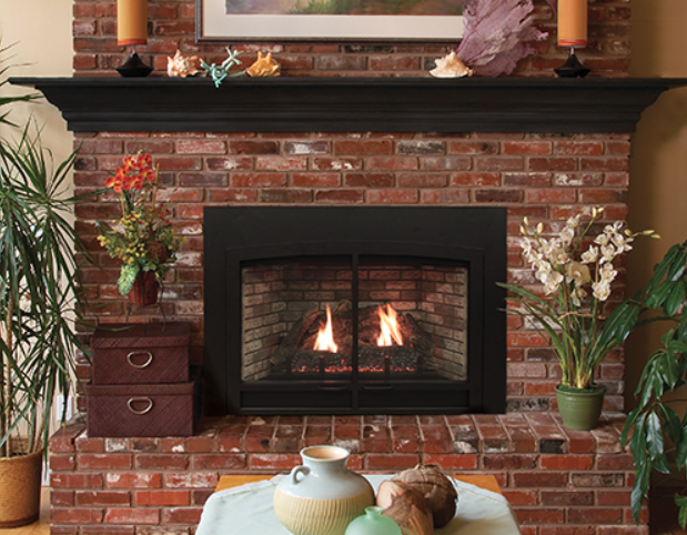 Empire Innsbrook medium direct vent gas fireplace insert DVC26IN