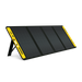 Champion 201246 Power Station Solar Panel, 120W