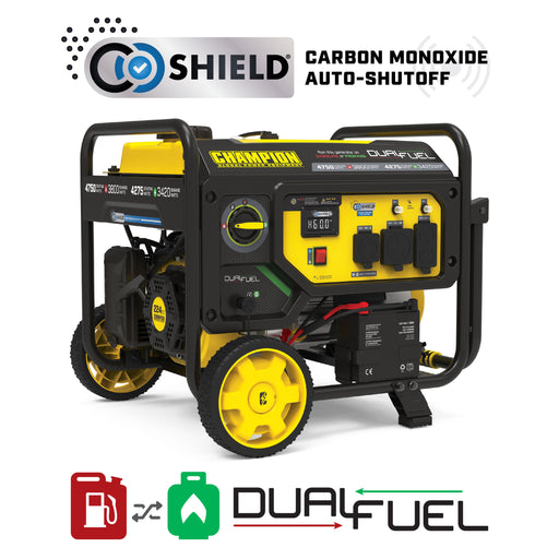 Champion 201393 3800 Watt DUAL FUEL w/Electric Start