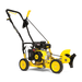 Champion 201465 9" Lawn Edger