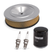 Champion 201541 22kW Maintenance kit fleX models ONLY
