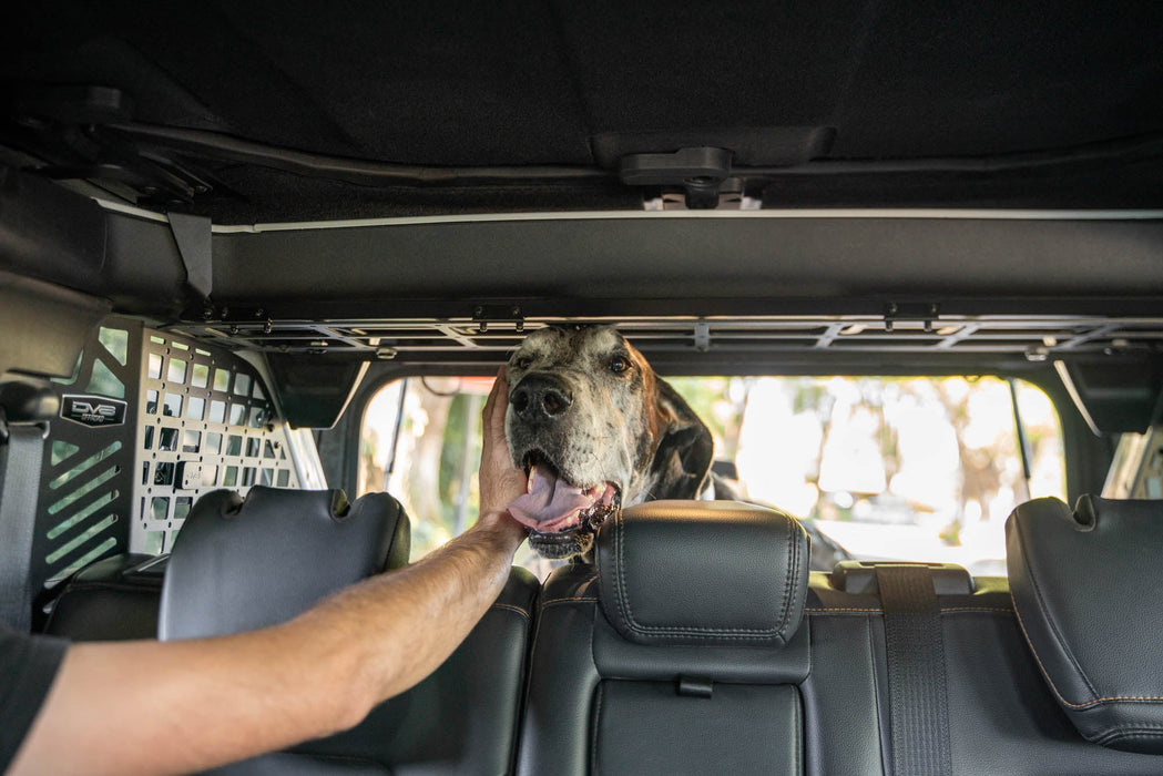 DV8 Offroad 2021-2024 Ford Bronco Dog Barrier – image 6 of 20