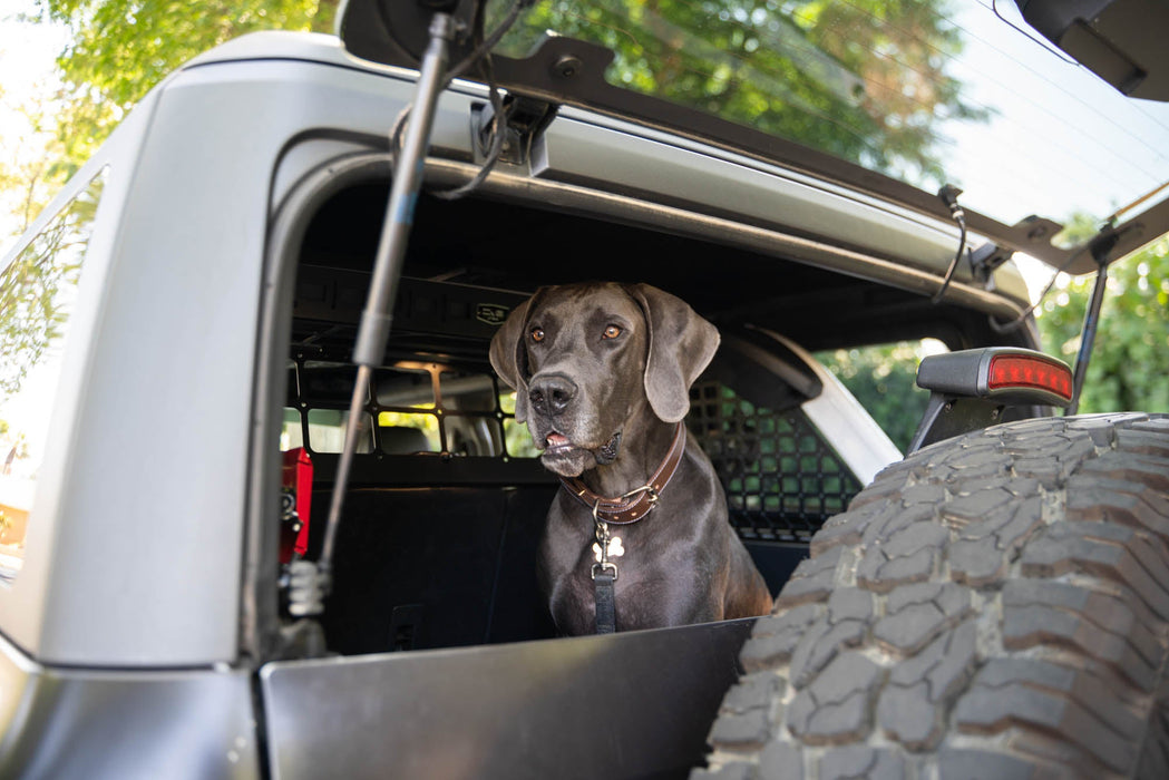 DV8 Offroad 2021-2024 Ford Bronco Dog Barrier – image 13 of 20