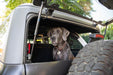 DV8 Offroad 2021-2024 Ford Bronco Dog Barrier – image 13 of 20