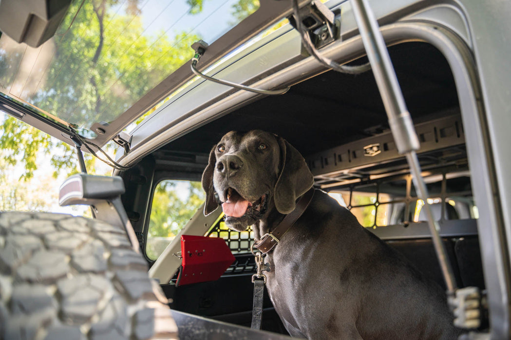 DV8 Offroad 2021-2024 Ford Bronco Dog Barrier – image 12 of 20