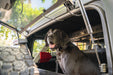 DV8 Offroad 2021-2024 Ford Bronco Dog Barrier – image 12 of 20
