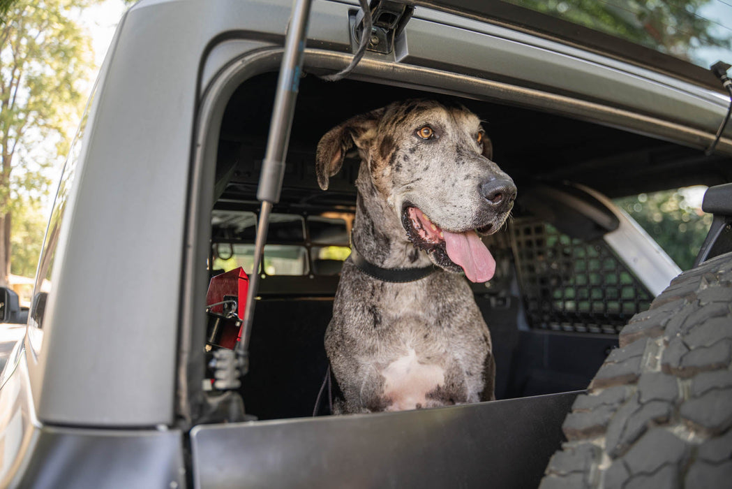 DV8 Offroad 2021-2024 Ford Bronco Dog Barrier – image 14 of 20