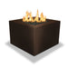 Starfire Designs Gravity Square Powder Coated Steel Gas Fire Pit with Propane Tank Access Door Starfire Designs