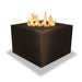 Starfire Designs Gravity Square Powder Coated Steel Gas Fire Pit with Propane Tank Access Door Starfire Designs