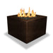 Starfire Designs Gravity Square Powder Coated Steel Gas Fire Pit with Propane Tank Access Door Starfire Designs