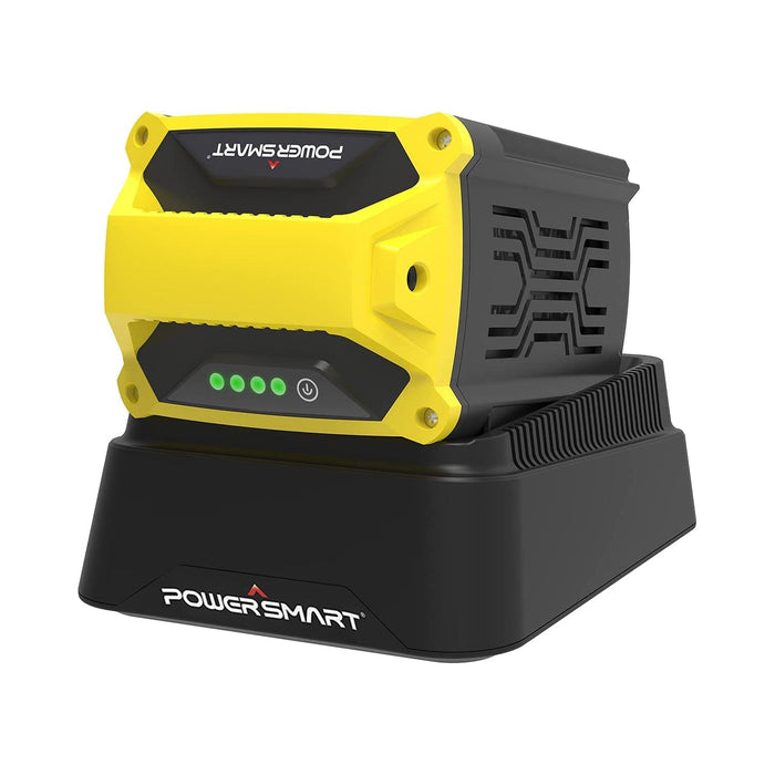 PowerSmart 80V Charger DB2208