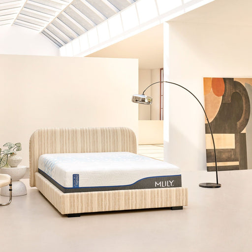 Hills Mattress & More ChiroPro Hybrid Plush Mattress Bedroom Furniture