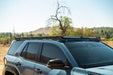 DV8 Offroad 2025-2026 Toyota 4Runner Roof Rack Light Cutout Fairing – installed on vehicle, image 3 of 11