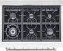 Cosmo 4-Piece Appliance Package - 36-Inch Dual Fuel Range, Wall Mount Range Hood, Dishwasher and Refrigerator in Stainless Steel (COS-4PKG-206) Cosmo