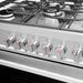 Cosmo 36-Inch 3.8 Cu. Ft. Single Oven Gas Range with 5 Burner Cooktop in Stainless Steel (COS-965AGC) Cosmo
